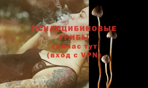 МДМА Беломорск
